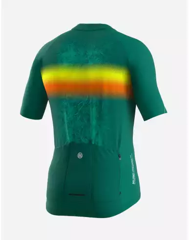 Maglia ciclismo uomo TREVISO S3